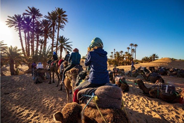 Marrakech to Merzouga 3-Days Group Desert Tour
