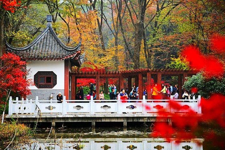 Nanjing Private Flexible Day Tour with Professional Guide and Driver Service