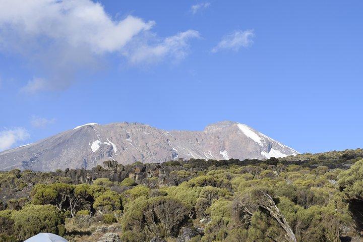 Mt. Kilimanjaro 7 Days Trek - Machame Route