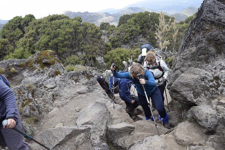 Mt. Kilimanjaro 7 Days Trek - Machame Route
