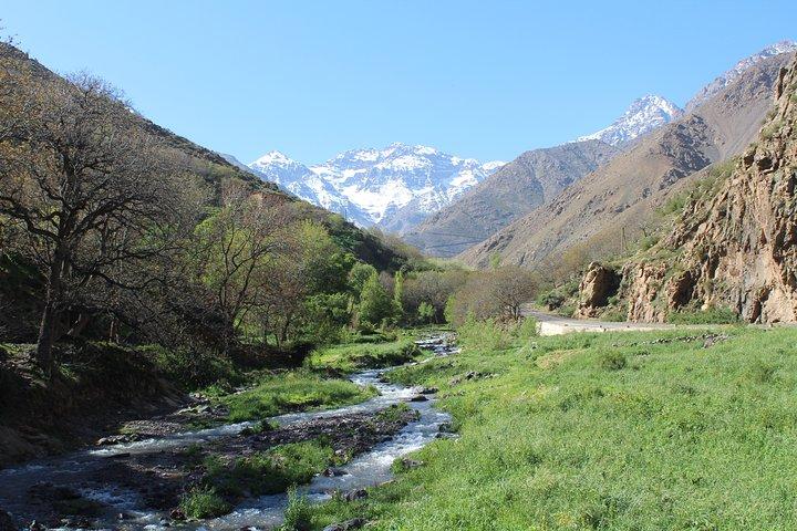 The Best Cultural Day Trip To The Atlas Mountains From Marrakech