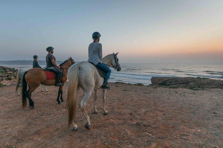 Bordeira Beach - Horse Riding Tour at Sunset