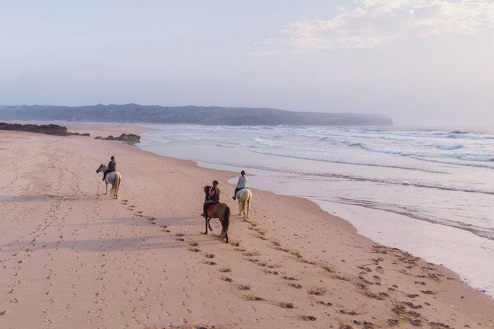 Bordeira Beach - Horse Riding Tour at Sunset