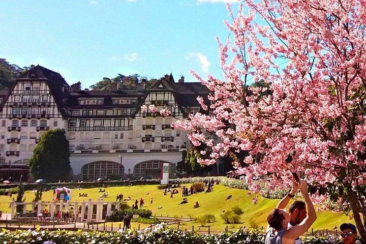 Guided Tour to the Imperial Cida of Petrópolis with Lunch