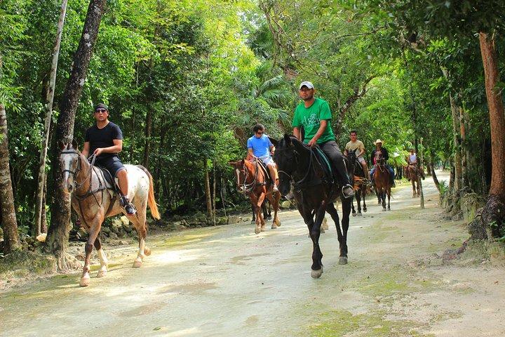Stroll the Jungle Trails on our Horseback Riding, with transport