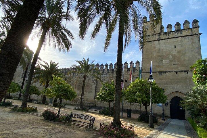 Guided tour of the Synagogue, Jewry and Caliph Baths in Spanish