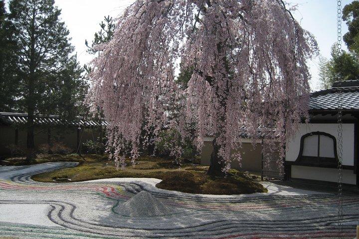 Personalized Half-day Tour in Kyoto for your family and friends.