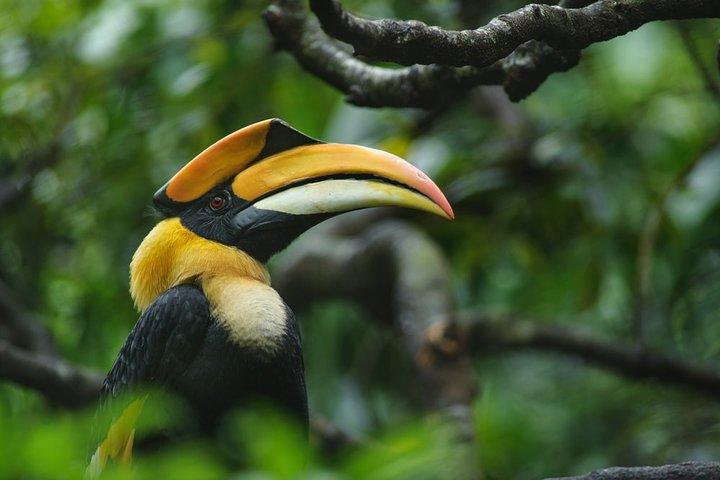 Birdwatching Trek in Anawilundawa Sanctuary from Colombo