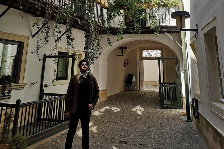 Private tour of historical Vienna with Jan