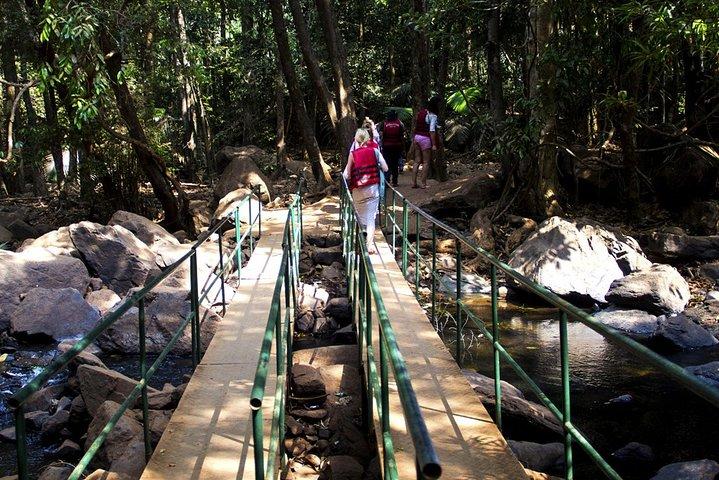 Full-Day Tour Old Goa Dudhsagar Falls and Spice Plantation