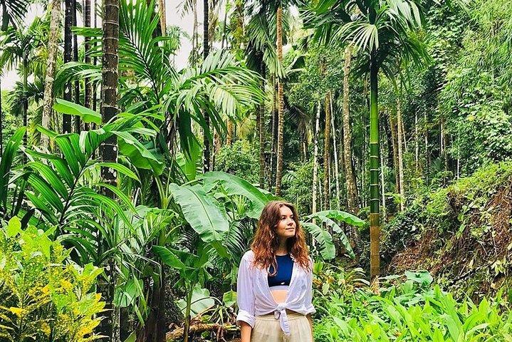 Full-Day Tour Old Goa Dudhsagar Falls and Spice Plantation
