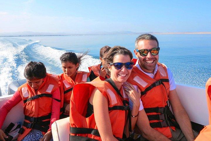 Ballestas Islands Tour & Paracas Reserve from Lima (Private)