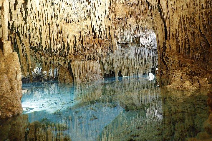 Cenotes and Paradise Lagoon
