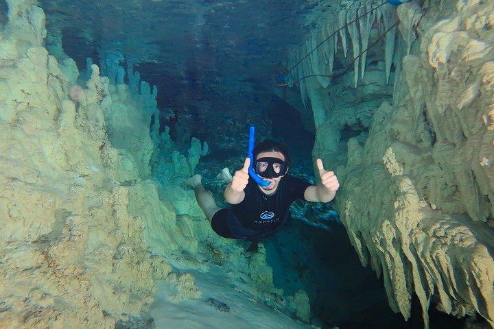 Cenotes and Paradise Lagoon