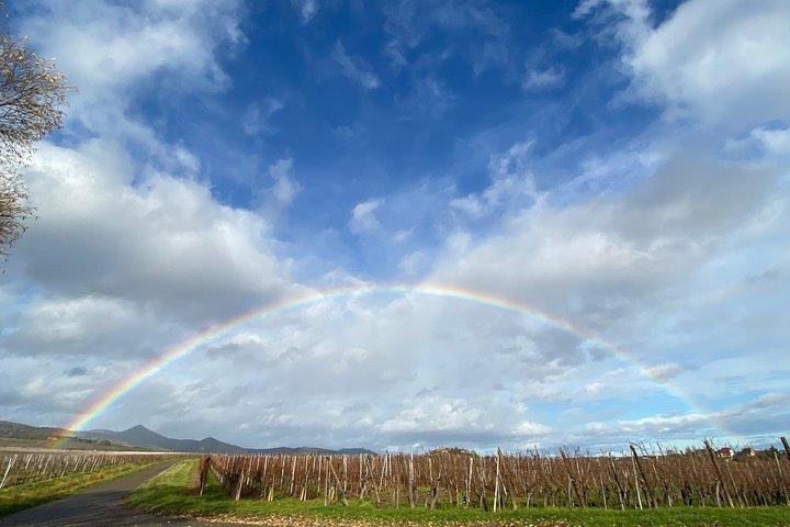 Private and customizable: Alsace Wine Route HIGHLIGHTS in 3 hours
