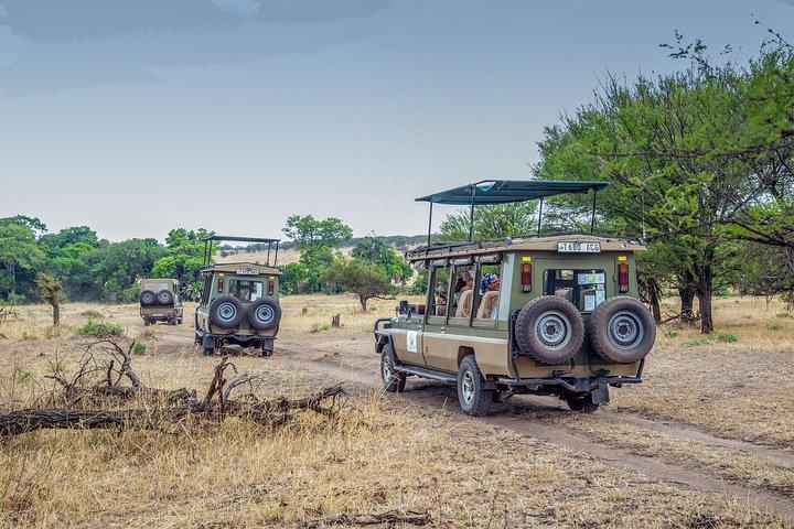 Tanzania 8 Day Private Safari Experience