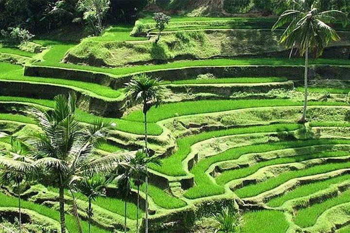 Bali Instagram Tour : The Most Popular Spots In Bali