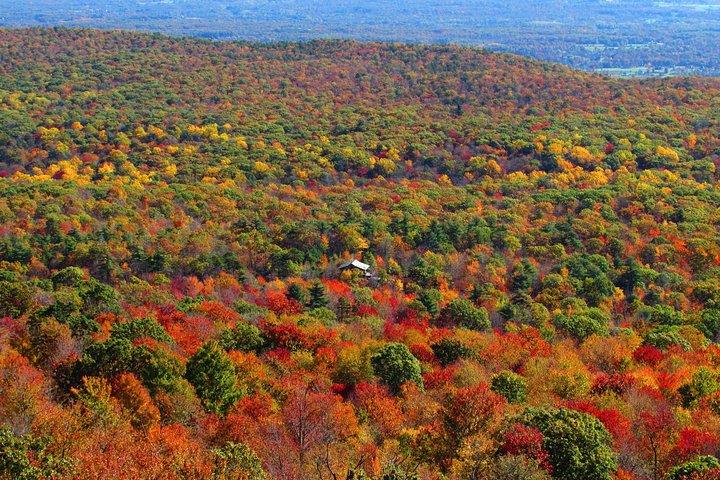 Couple's Private Hudson Valley Fall Foliage Helicopter Tour from Westchester