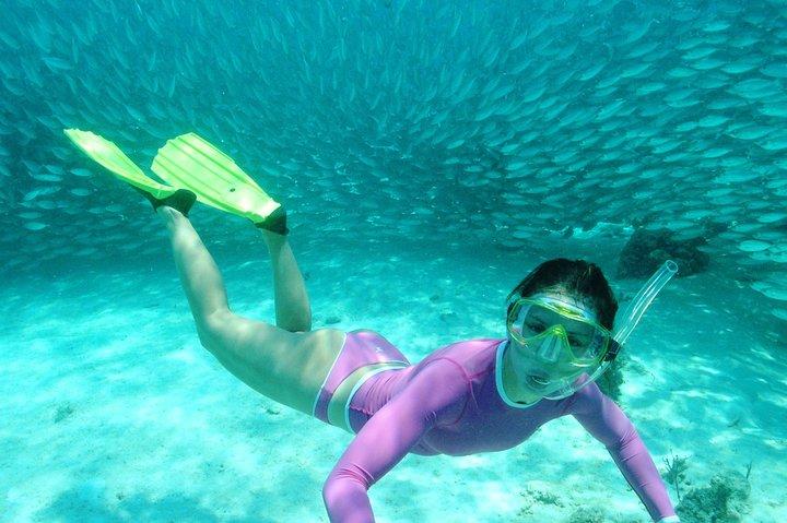 ATV Xtreme Snorkel Tour