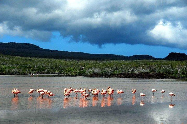 Full Day Plazas & Carrion Point