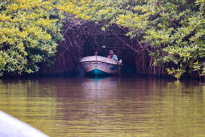 Coastal Ride to Galle from Mount Lavinia