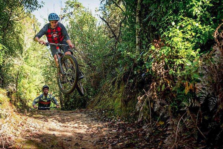 Urban Jungle Trail Cycling Tour from Colombo