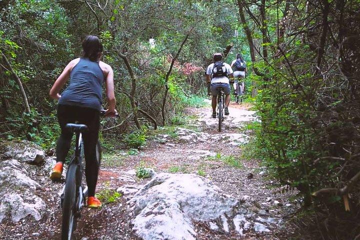 Urban Jungle Trail Cycling Tour from Mount Lavinia