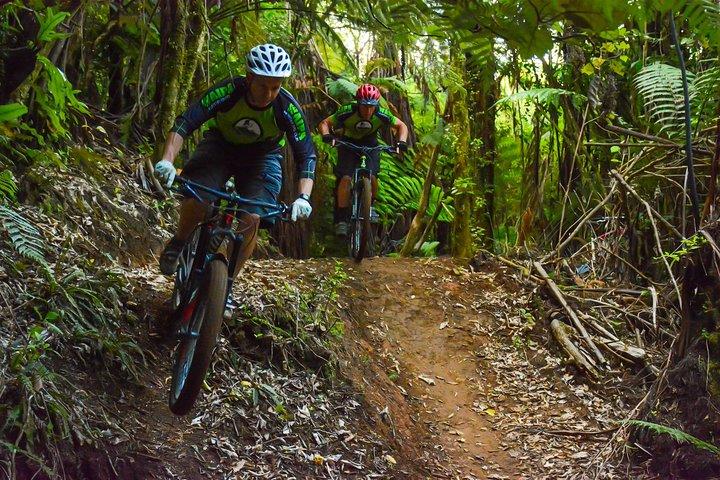 Urban Jungle Trail Cycling Tour from Colombo