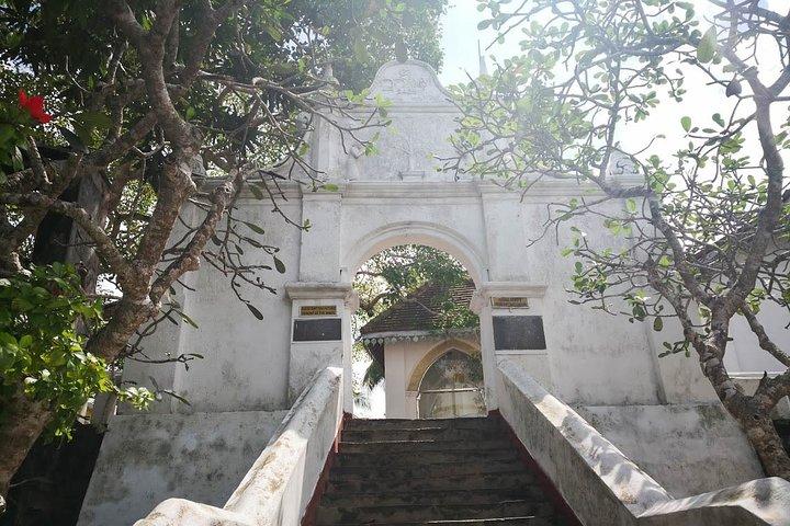 Southern Coast Highlights from Mount Lavinia