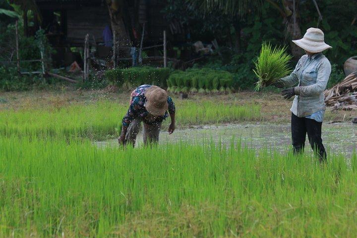 Village Cycling Tour (Private)