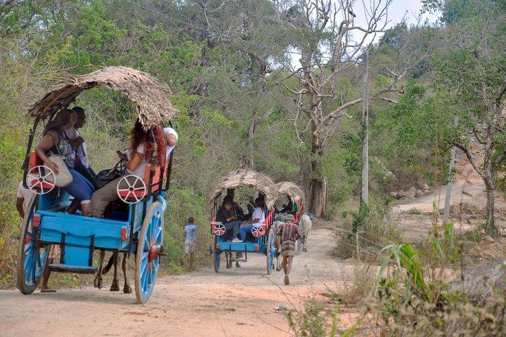 Sigiriya Rock and Village Tour from Mount Lavinia