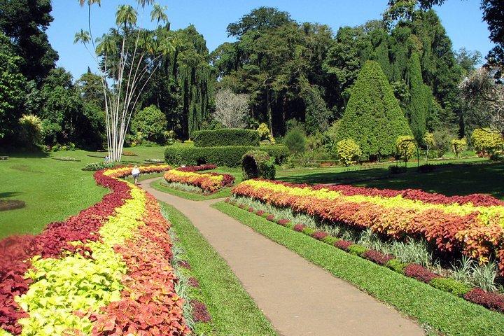 Ceylon Backpacker Tour - 3N/4D