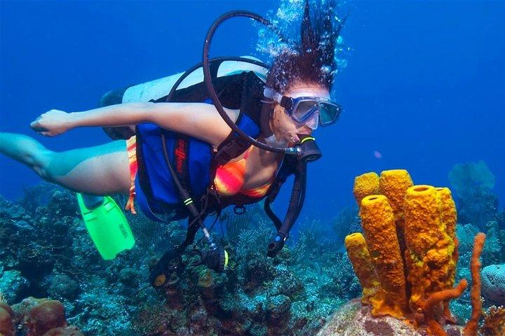 Diving from Mount Lavinia