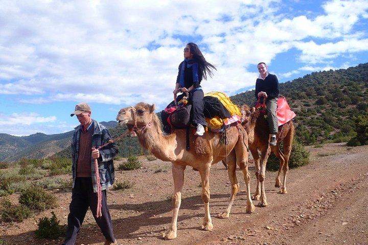 Three Valleys and the Atlas Mountains with Camel Ride and Lunch from Marrakech