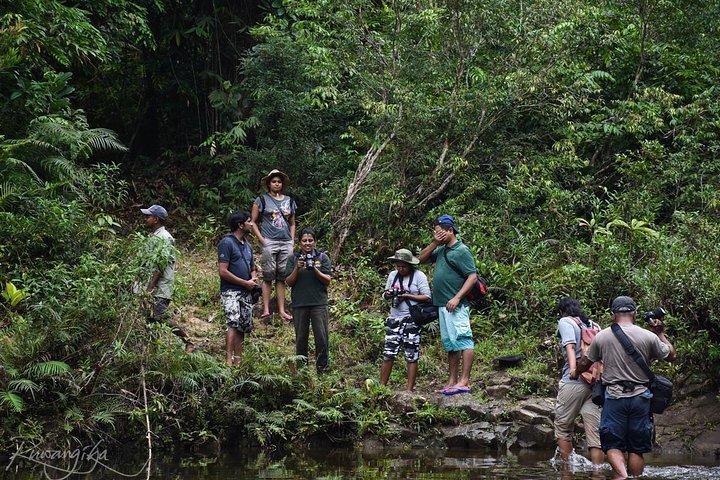 Explore Pannila Cave from Mount Lavinia