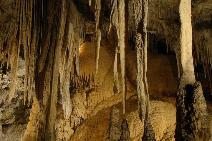 Explore Pannila Cave from Mount Lavinia