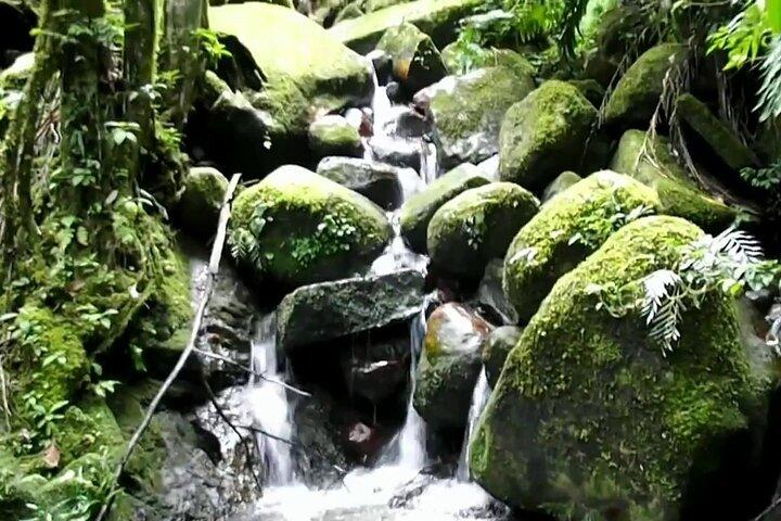 Explore Pannila Cave from Mount Lavinia