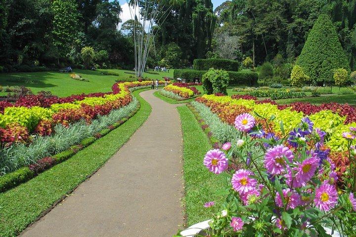 Kandy City Tour from Colombo