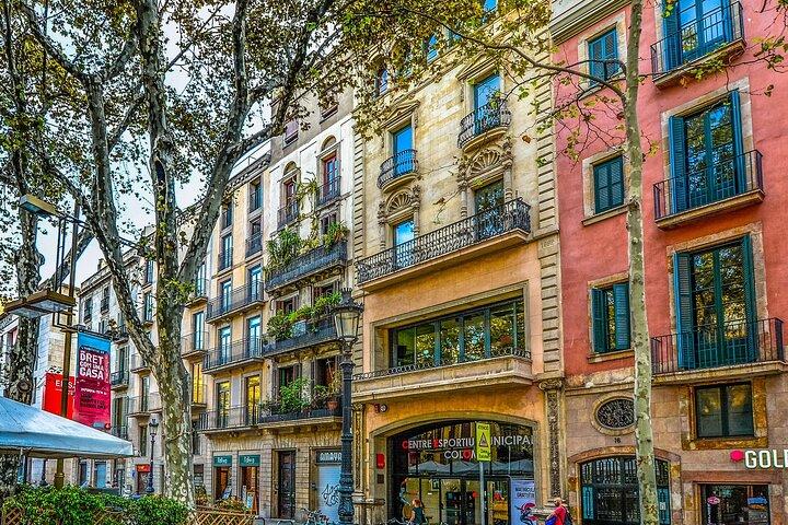 Barcelona Private Walking Tour with a Professional Guide