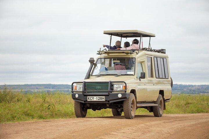 Half-Day Private Guided Safari Tour to Nairobi National Park