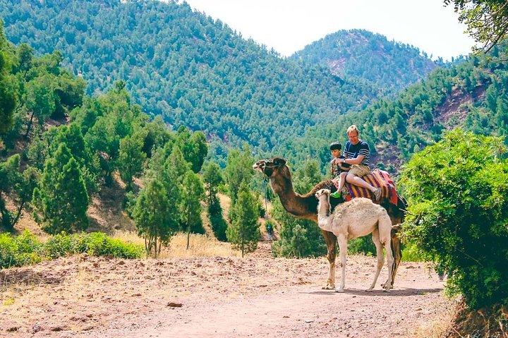 Atlas Mountains And Toubkal Massif & Waterfalls Guided Day Tour From Marrakech