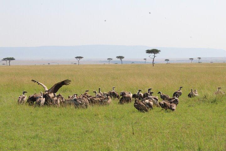 3 Days Safari Tour in Lake Manyara and Ngorngoro