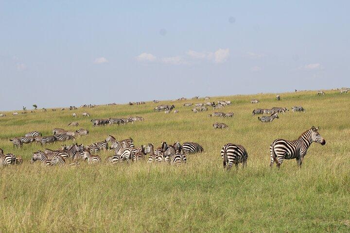 3 Days Safari Tour in Lake Manyara and Ngorngoro