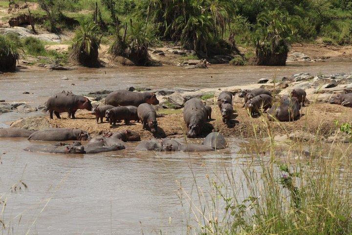 3 Days Safari Tour in Lake Manyara and Ngorngoro