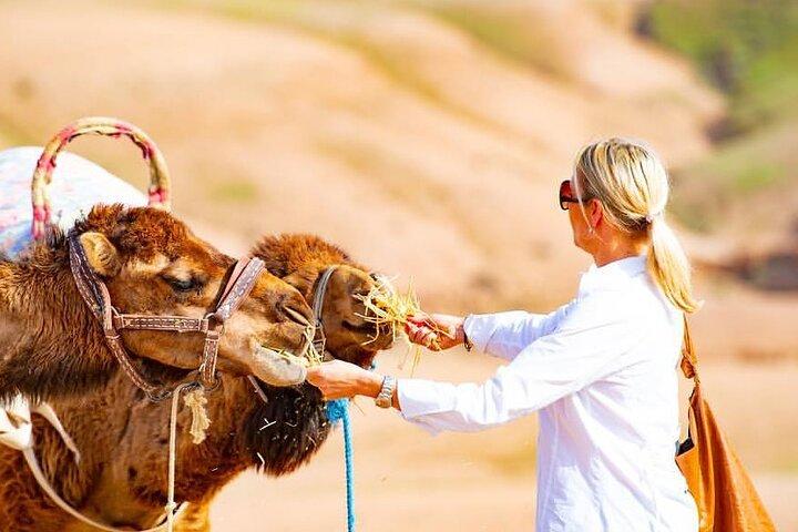 Premium Agafay Desert & Berber villages with Camel Safari Including Lunch