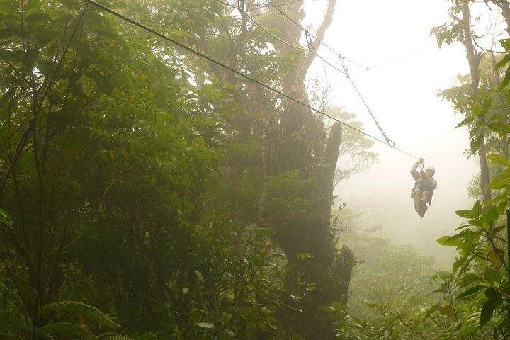 Zipline and Hanging Bridges Combo Tour in Monteverde Cloud Forest