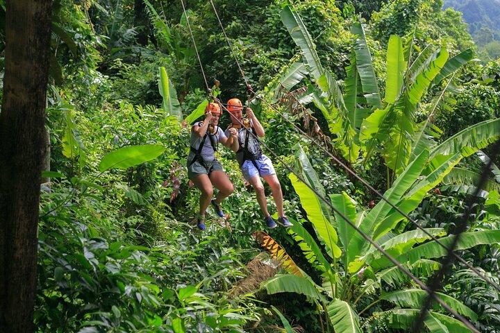 Zipline & Coffee with Waterfall Views in Koh Samui