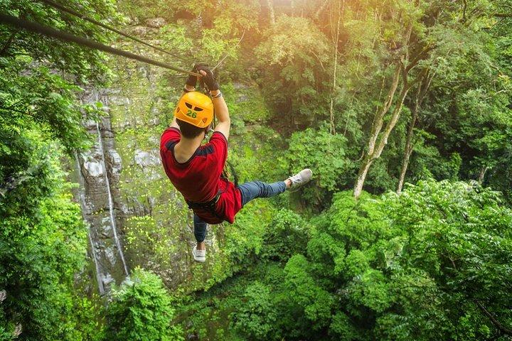 Zipline & Coffee with Waterfall Views in Koh Samui