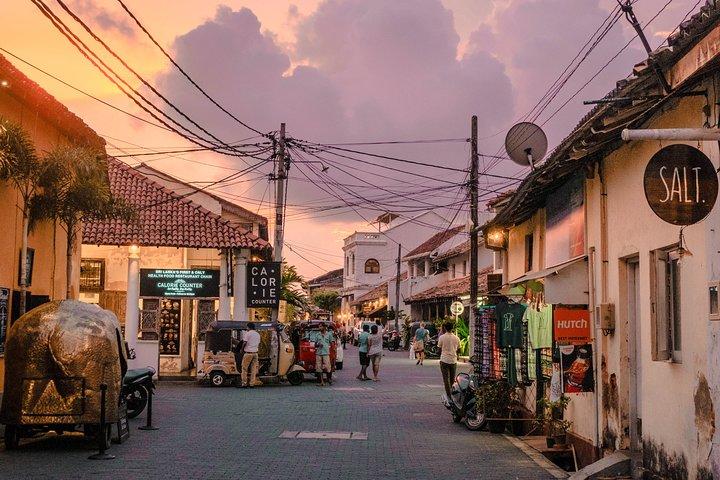 Southern Coast Highlights from Colombo