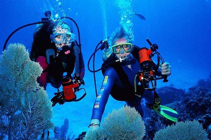 Snorkeling from Unawatuna
